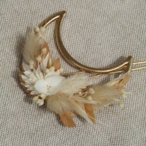 Barrette lune "Adelaide"